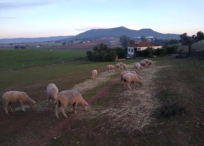 Cuartos * San Benito de la Contienda